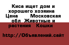 Киса ищет дом и хорошего хозяина › Цена ­ 0 - Московская обл. Животные и растения » Кошки   